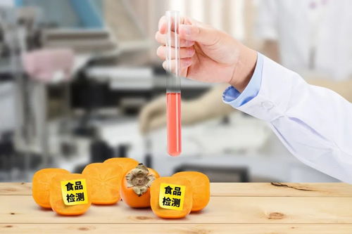 史上最嚴《四川省中小學校食品安全管理辦法》正式實施，守護學生餐飲服務安全