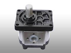 齒輪油泵廠家哪家好 高壓齒輪油泵生產(chǎn),齒輪油泵廠家哪家好 高壓齒輪油泵生產(chǎn)生產(chǎn)廠家,齒輪油泵廠家哪家好 高壓齒輪油泵生產(chǎn)價格