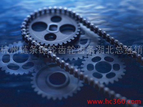 鏈條,鏈輪,齒輪,齒條,聯(lián)軸器,傳動件,五金,機電,武漢 杭州鏈條鏈輪齒輪齒條武漢直銷處